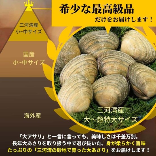 【ふるさと納税】【父の日】三河湾産 特大 天然 大アサリ 12切 ギフトセット (約2kg) CAS冷凍・処理済・特製だし醤油とネギ付き あさり 国産 アサリ 大あさり 砂抜き 海鮮 魚介類 魚介 貝 冷凍 愛知県 20000 円