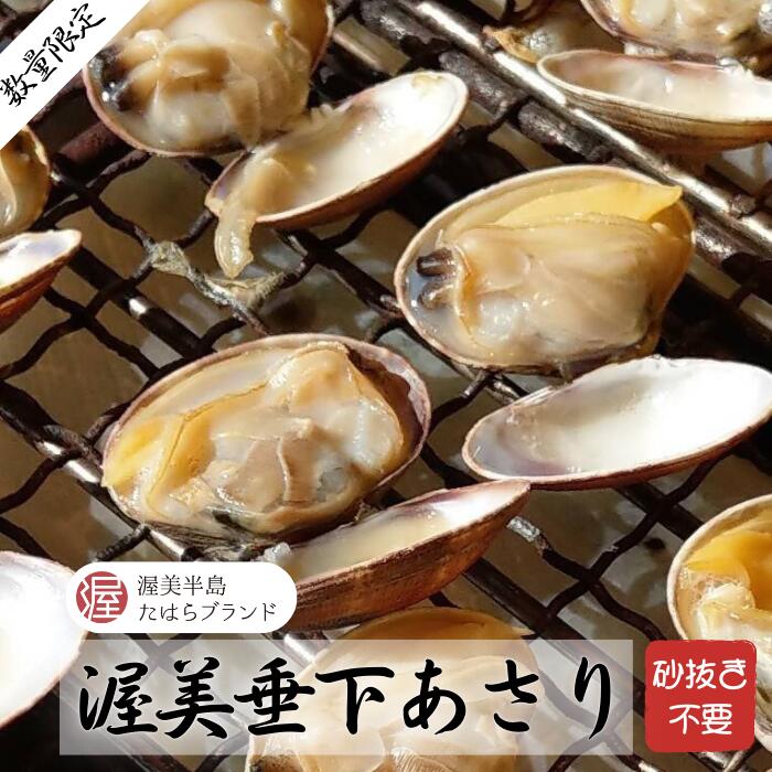 【ふるさと納税】渥美 垂下 あさり 800g アサリ 貝 おつまみ ギフト 国産 砂出し済 大粒 天 貝 貝類 魚介 海鮮 海産物 砂出し 酒蒸し パスタ BBQ 焼きそば お味噌汁 産地直送 田原市 送料無料 10000円 一万円