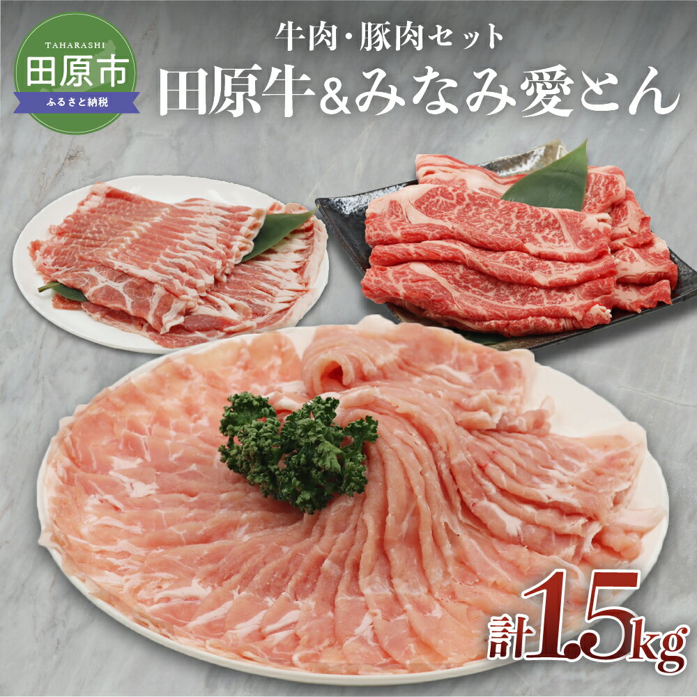 田原牛 みなみ愛とん 牛肉豚肉セット 牛肉 ビーフ 豚肉 ポーク ロース 肩ロース お取り寄せ 食べ比べ 牛 豚 特産 ご当地 グルメ おうち時間 国産 霜降り ふるさと納税 肉 冷凍 贅沢 和食 洋食 祝 田原市 送料無料 20000 円 二万円 2万円