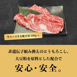 【ふるさと納税】田原牛 スライスすき焼き セット 牛ロース スライス 500g すき焼き用 500g 牛肉 ビーフ しゃぶしゃぶ お取り寄せ 牛 特産 ご当地 グルメ 国産 霜降り ふるさと納税 肉 冷凍 贅沢 和食 洋食 祝 田原市 送料無料 30000 円 三万円 3万円･･･ 画像2