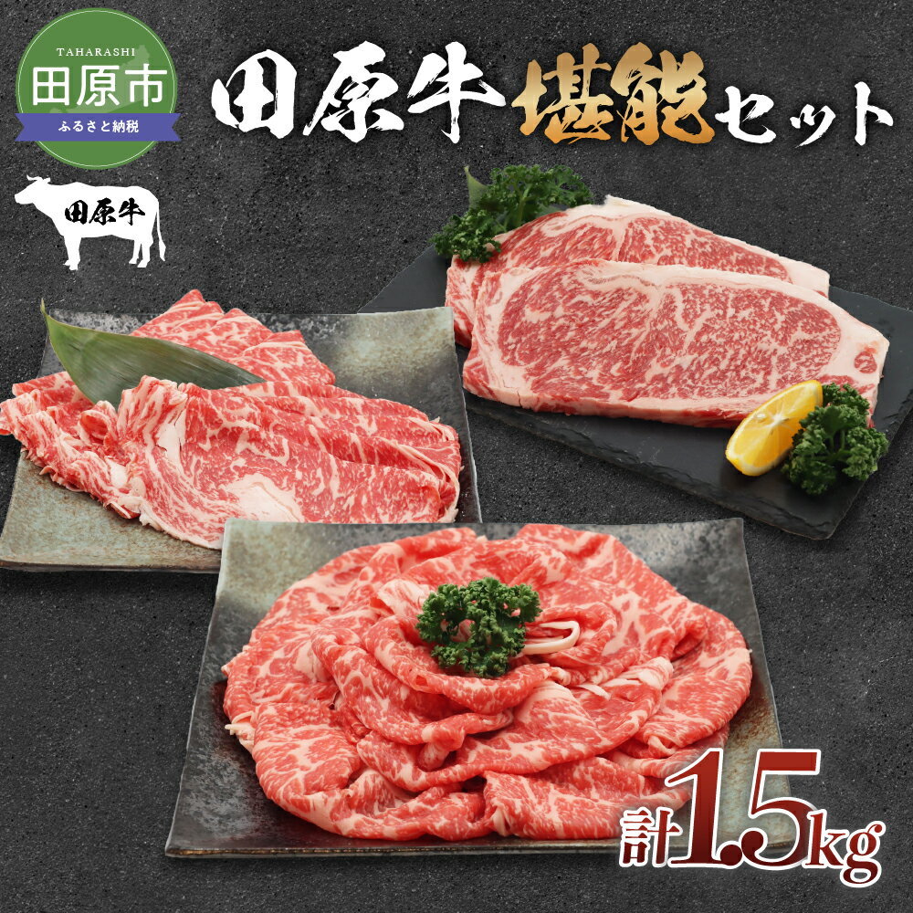 田原牛 堪能セット 牛ロース ステーキ250g×2 しゃぶしゃぶ用 500g すき焼き用 500g 牛肉 ビーフ 肩ロース ステーキ しゃぶしゃぶ お取り寄せ 牛 特産 ご当地 グルメ 国産 霜降り ふるさと納税 肉 冷凍 贅沢 和食 洋食 祝 田原市 送料無料