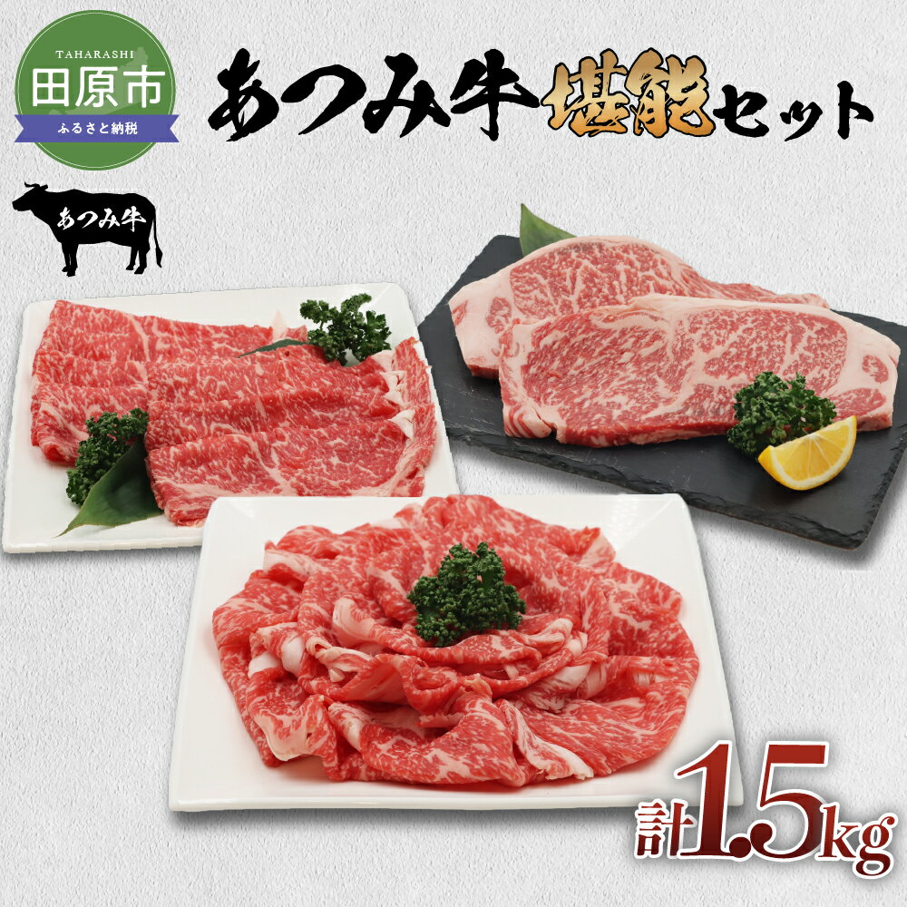 あつみ牛 堪能セット 牛ロース ステーキ250g×2 しゃぶしゃぶ用 500g すき焼き用 500g 牛肉 ビーフ 肩ロース ステーキ しゃぶしゃぶ お取り寄せ 牛 特産 ご当地 グルメ 国産 霜降り ふるさと納税 肉 冷凍 贅沢 和食 洋食 祝 田原市 送料無料