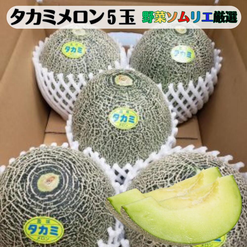 【ふるさと納税】先行予約 道の駅の野菜ソムリエ厳選 タカミメロン 5玉 箱詰め メロン フルーツ 果物 お取り寄せ 渥美半島 産地直送 田原市 送料無料 15000円　めっくんはうす