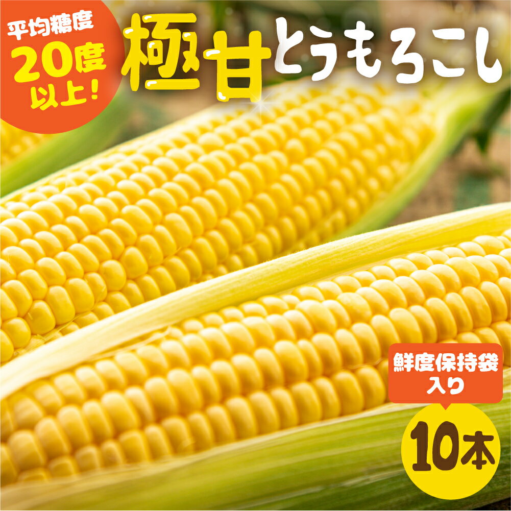 【ふるさと納税】《期間限定》高評価 平均糖度20以上 極甘とうもろこし 10本 以上 鮮度保持袋入り 発...