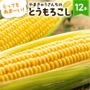 【ふるさと納税】メロン くらい 甘い とうもろこし 12本 朝採り 大粒 人気 朝採り 産地直送 甘い 収穫後 即発送 こだわり 冷蔵 まるで フルーツ 送料無料 数量限定 コーン 先行予約 お取り寄せ トウモロコシ コーン 10000円 一万円 1万円