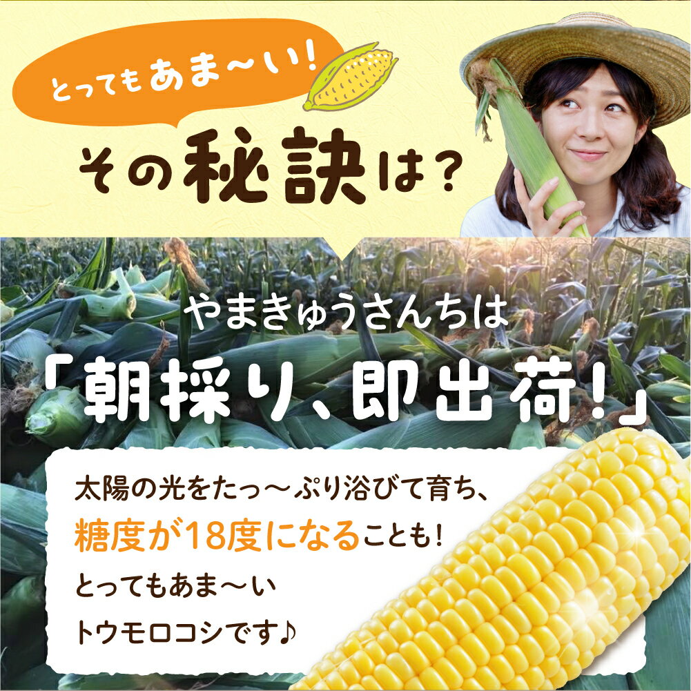 【ふるさと納税】メロン くらい 甘い とうもろこし 24本 朝採り 大粒 人気 朝採り 産地直送 甘い 収穫後 即発送 こだわり 冷蔵 まるで フルーツ 送料無料 数量限定 コーン 先行予約 お取り寄せ トウモロコシ コーン 18000円