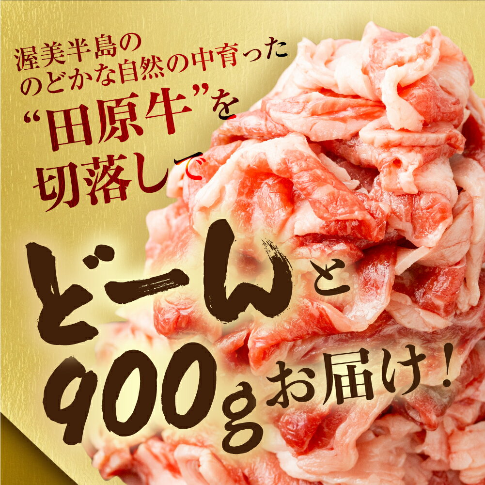 【ふるさと納税】〈訳あり〉国産牛 切落し 900g 渥美半島 田原牛 スライス うす切り 牛肉 肉 きりおとし 牛丼 カレー ビーフシチュー に お取り寄せ お取り寄せグルメ 切落し ふぞろい 訳アリ わけあり ワケアリ 不揃い 15000円