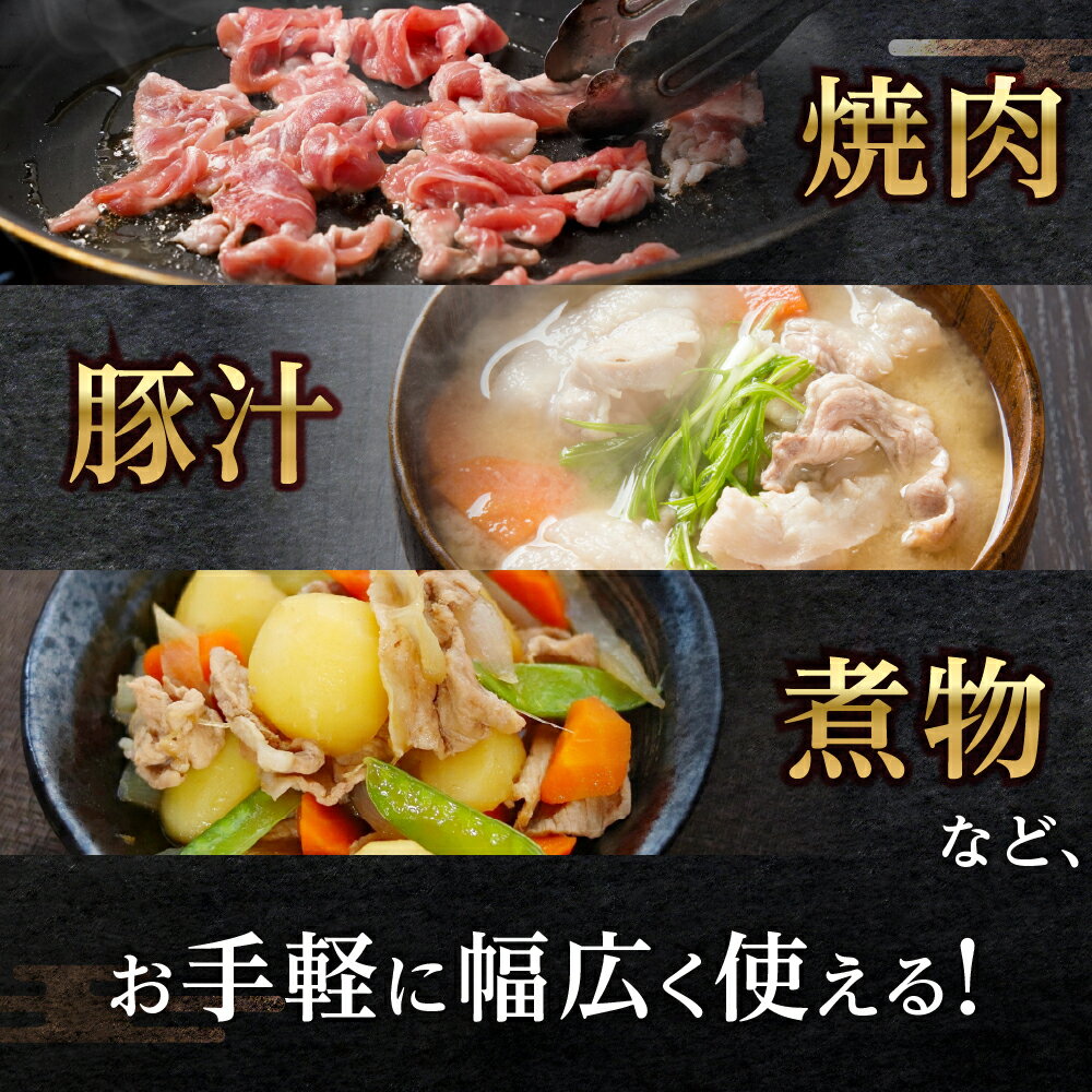 愛知県田原市の画像3