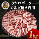 【ふるさと納税】みかわポークカルビ焼き肉用 1kg 豚肉 ロース ステーキ トンテキ 豚テキ 豚 ぶた ポーク 冷凍 真空 真空パック 小分け 焼肉 焼き肉 豚汁 煮物 BBQ 渥美半島 愛知県 田原市