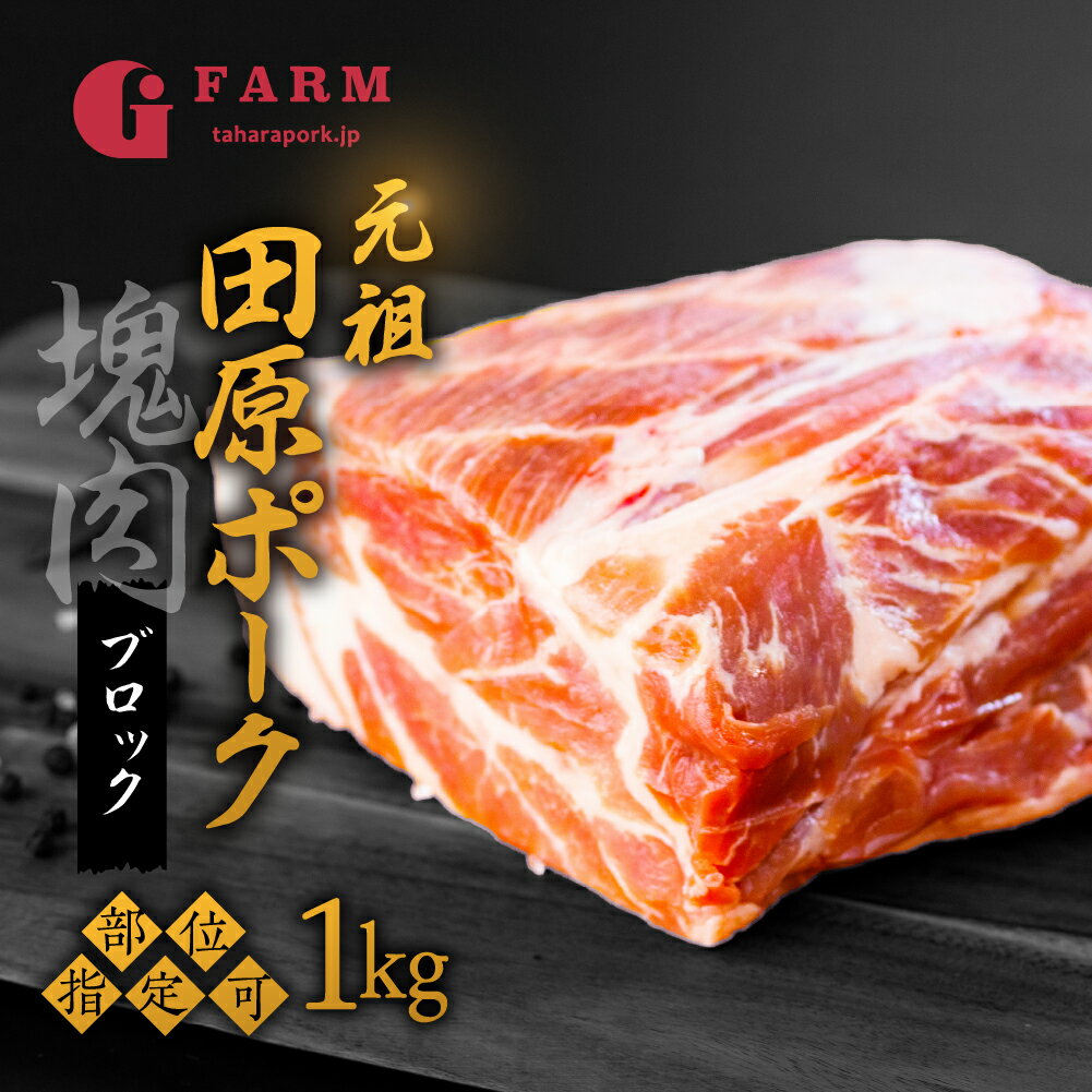 [部位選べる]国産 豚肉 ブロック 1kg ロース バラ 肩ロース 田原ポーク 発送時期が選べる 塊肉 チャーシュー 贈り物 ギフト お取り寄せ お取り寄せグルメ 食品 送料無料 産地直送 冷凍 Gファーム 10,000円 1万円