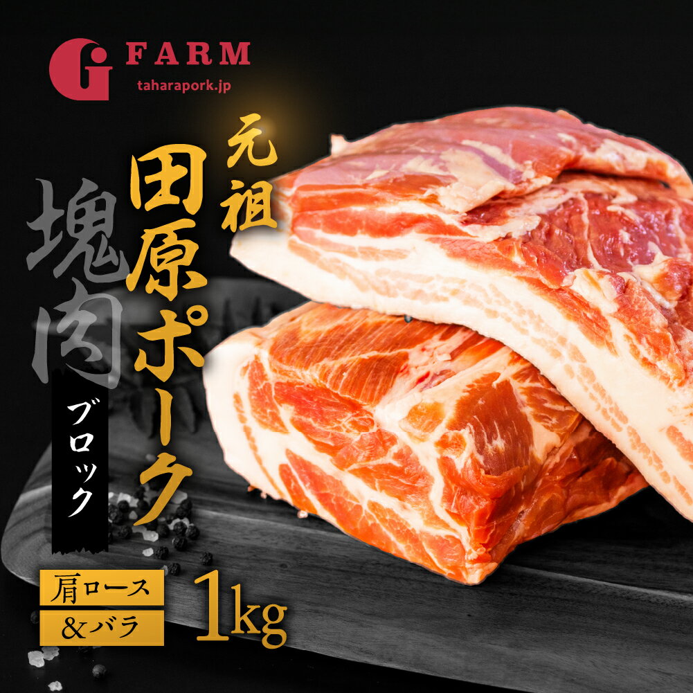 3位! 口コミ数「0件」評価「0」国産 豚肉 ブロック 肩ロース・バラ 食べ比べ 1kg×2 計2kg 田原ポーク 塊肉 チャーシュー 贈り物 ギフト お取り寄せ お取り寄せ･･･ 