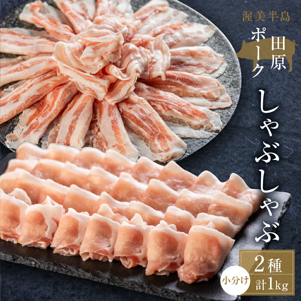 【ふるさと納税】国産 豚肉 食べ比べ 500g × 2 計 1kg しゃぶしゃぶ用 ロース バラ 冷凍 田原ポーク 小分け 100g ずつ 個包装 ぶた スライス 薄切り 豚しゃぶ 贈り物 ギフト 化粧箱 食品 送料無料 産地直送 冷凍 Gファーム 10000円 1万円 30000円 60000円 120000円のサムネイル