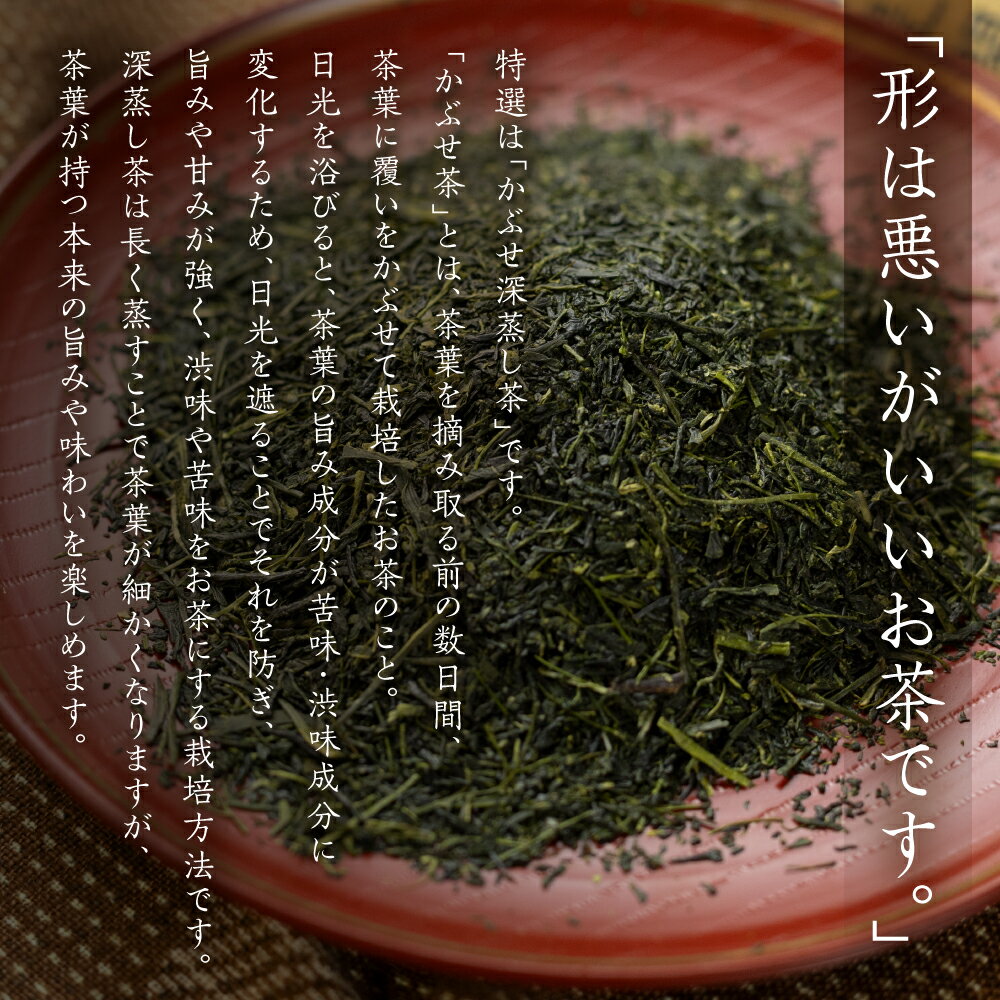 愛知県田原市の画像3