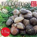 【ふるさと納税】《5月末金額改定》旬の渥美産 天然 活あさり 1.5kg 先行予約 あさり 国産 アサリ 採れたて 砂抜き …