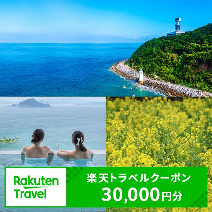 【ふるさと納税】愛知県 田原市の対象施設で使える楽天トラベルクーポン 寄付額 100,000円 旅行 宿泊券 渥美半島 ホテル 旅館