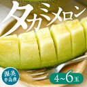 【ふるさと納税】【先行予約】タカミメロン 4 〜 6玉 入り ( 3L 〜 L )メロン 夏 貴美 貴味 フルーツ 果物 愛知県 田原市 渥美半島 お取り寄せ ...