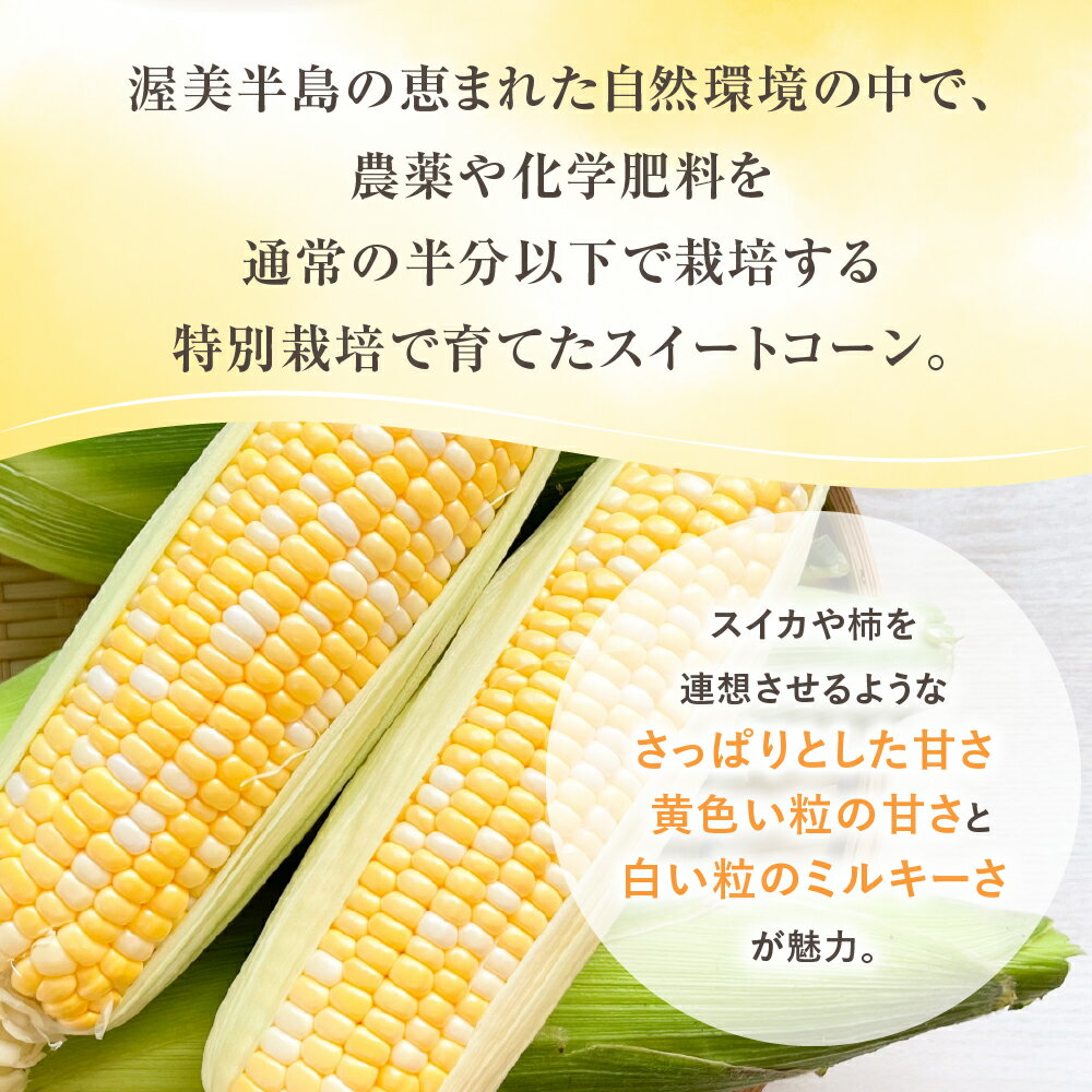 愛知県田原市の画像3