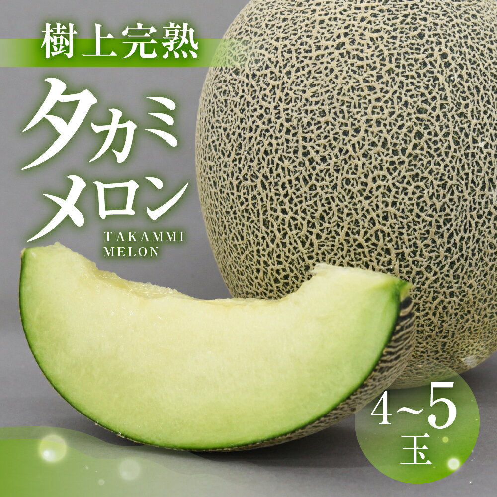 渥美半島産 青木さんちのタカミメロン 樹上完熟 4玉〜5玉 約5kg メロン タカミメロン 青肉メロン 完熟 フルーツ 果物 デザート 農家直送 送料無料 熟成 メロン 糖度 メロン 青肉