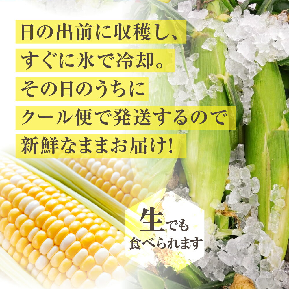 愛知県田原市の画像2