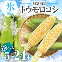 【ふるさと納税】【先行予約】2026年 氷締め 寺田さんち とうもろこし バイカラー 選べる本数 5本~24本 約4kg 渥美半島産 野菜 朝採れ デザート 農家直送 送料無料 朝採れ コーン 野菜 キャンプ BBQ バーベキュー おやつ 田原市 渥美半島 愛知県 夏 旬