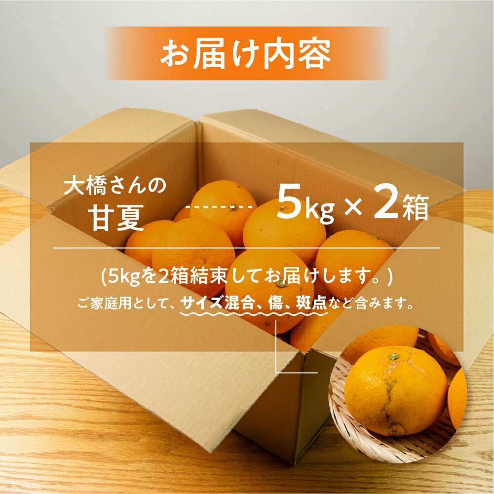 愛知県田原市の画像3