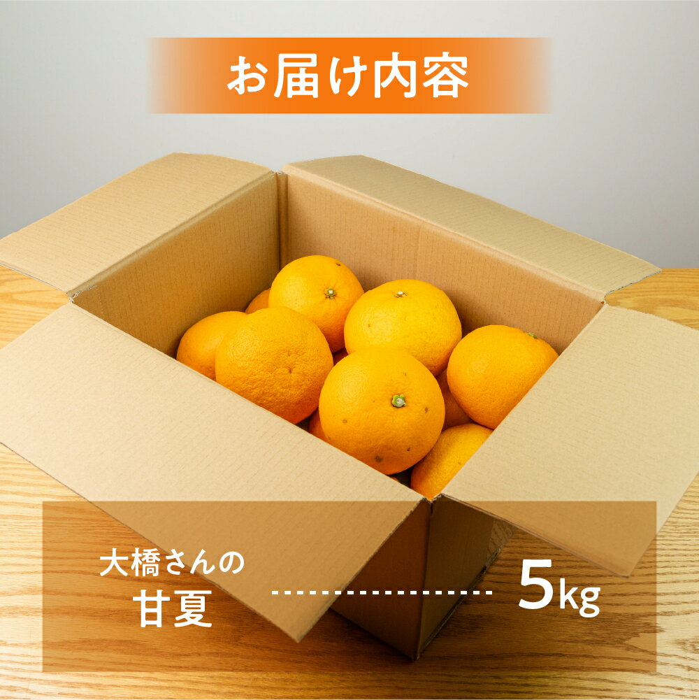 愛知県田原市の画像3