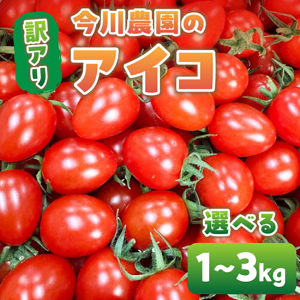 [先行予約]今川農園のミニトマト 訳ありアイコ 選べる1〜3kg 先行予約受付 期間限定 季節限定 野菜 国産 完熟 やさい フルーツ トマト 完熟 千果 ミニトマト イエロー プチトマト イエロートマト プチ お弁当 贈り物 おやつ サラダ 送料無料 産地直送