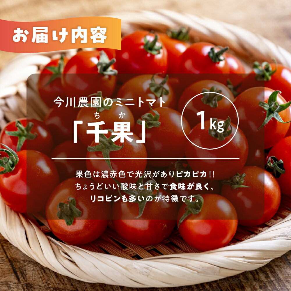 愛知県田原市の画像2