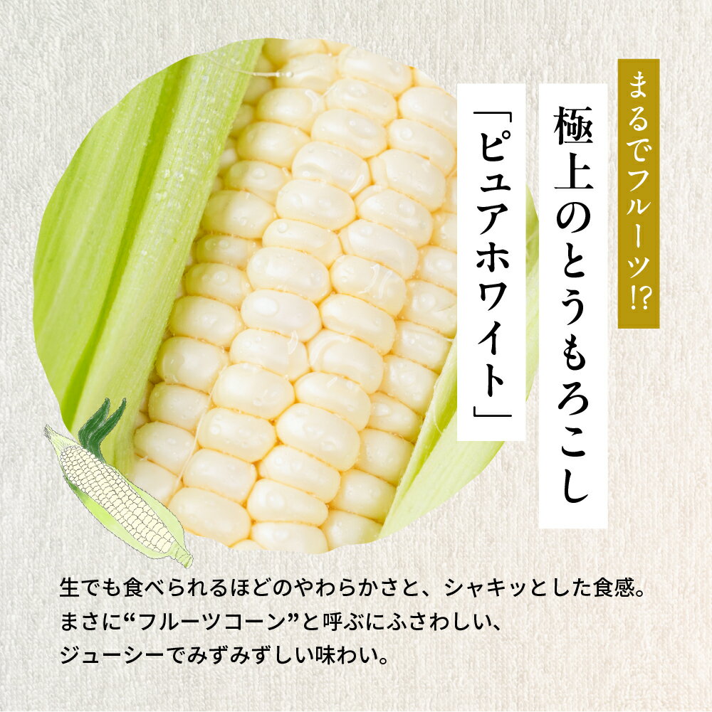 愛知県田原市の画像2