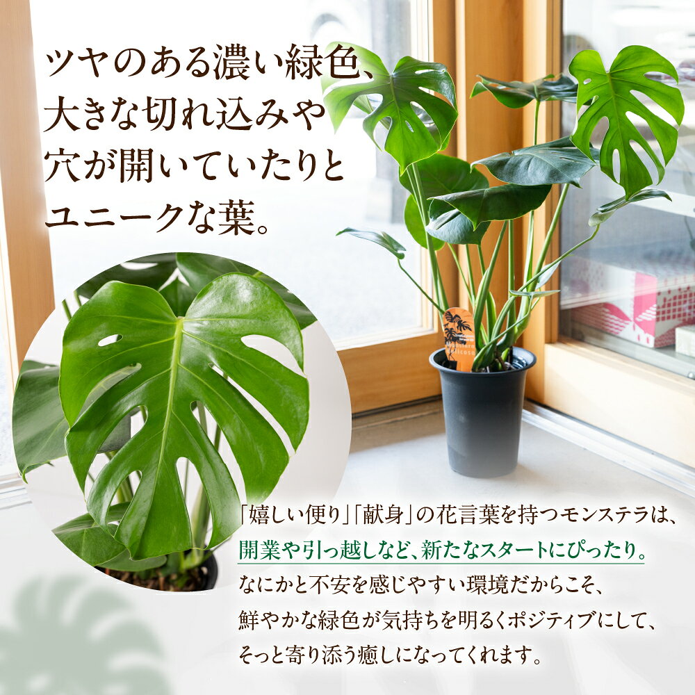 愛知県田原市の画像2