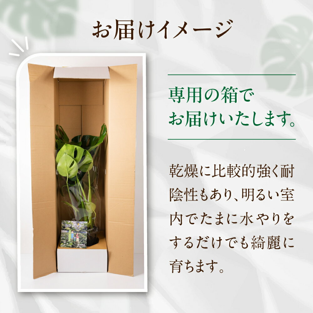 愛知県田原市の画像3