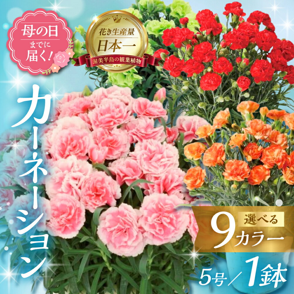[母の日までにお届け]カーネーション 鉢植え 5号鉢 レッド ピンク オレンジ グリーン 緑 花 フラワー ギフト 母の日 贈り物 プレゼント 母 ママ お母さん ありがとう 感謝 贈答 鉢