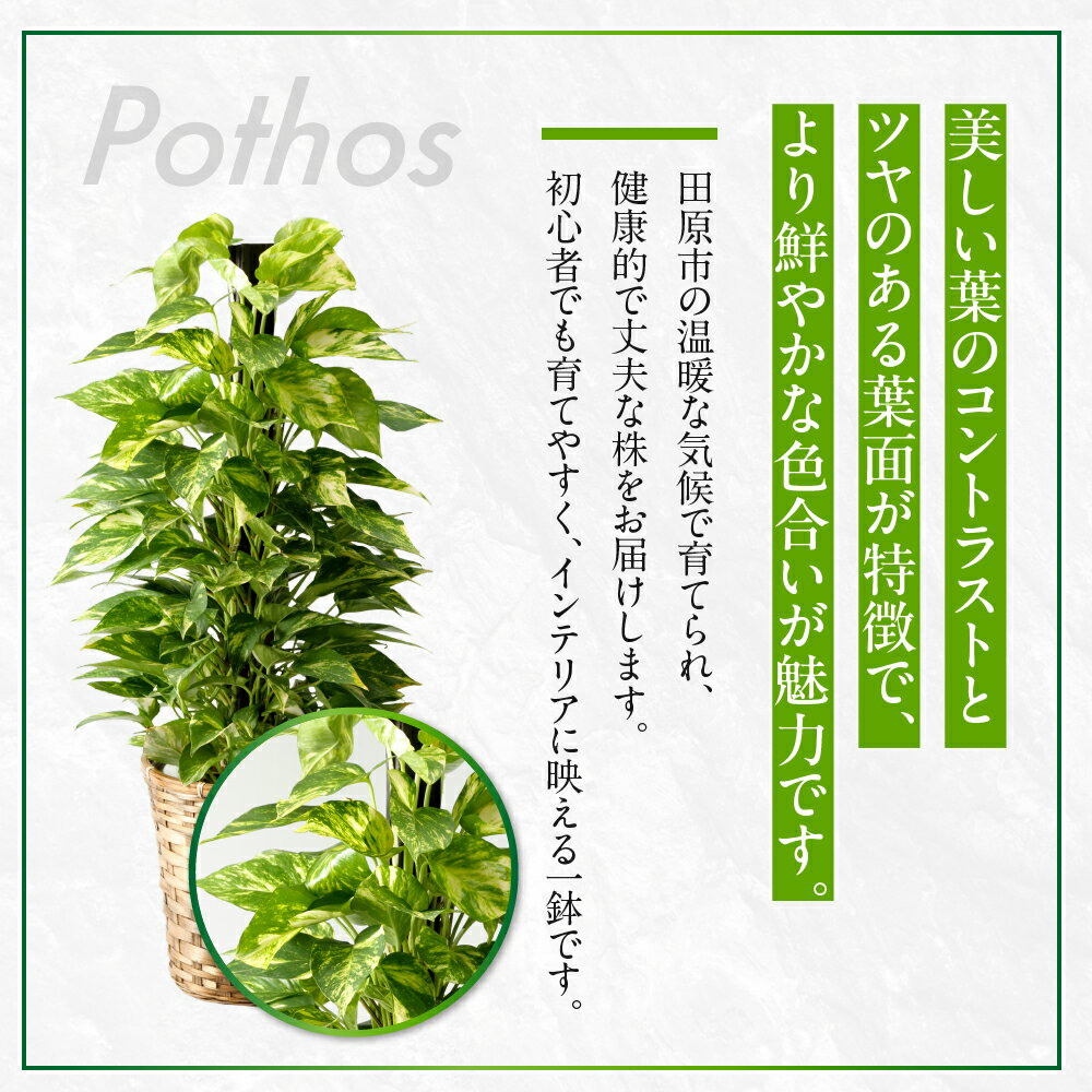 愛知県田原市の画像2