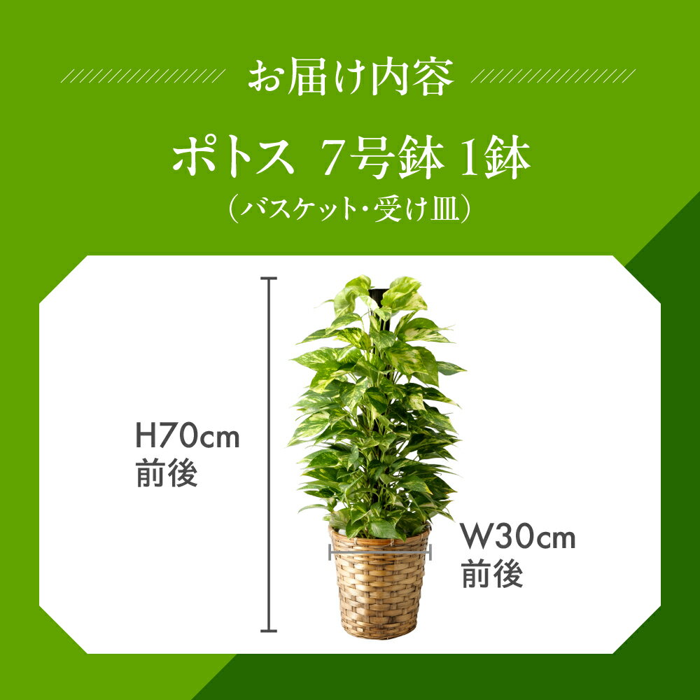 愛知県田原市の画像3