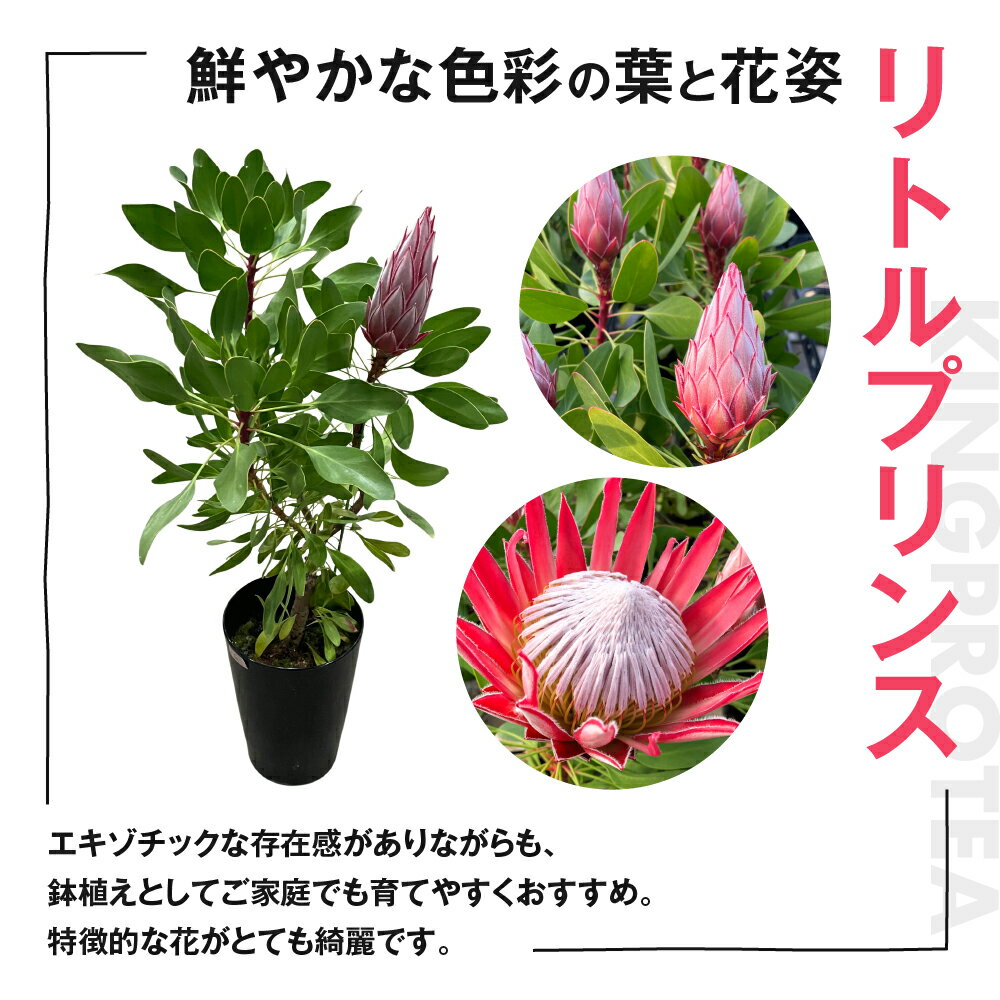 愛知県田原市の画像2