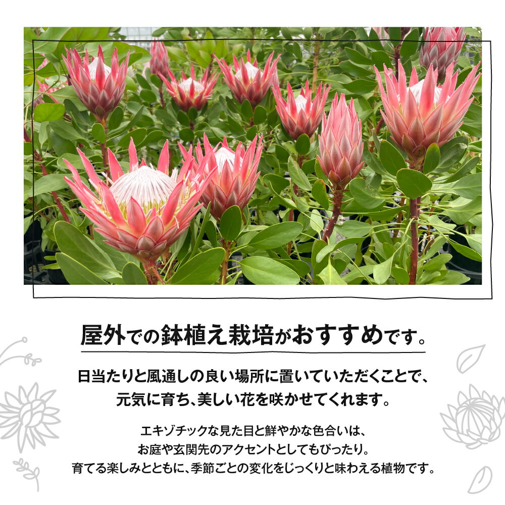 愛知県田原市の画像3