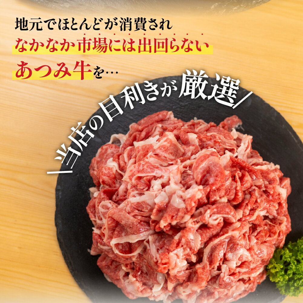 愛知県田原市の画像2