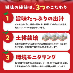 【ふるさと納税】グランプリ受賞 極旨 ミニトマト 2kg だしの出るトマト 新鮮 完熟 選べるお届け時期 トマト あつみちゃんトマト フルーツトマト 季節限定 発送時期が選べる 完熟 健康 トマト 濃厚 薄皮 お取り寄せ 入手困難 幻 プチ 先行予約 産地直送 冷蔵 送料無料･･･ 画像2