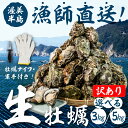 【ふるさと納税】【先行予約】訳あり 不揃い 殻付き 生牡蠣 選べる 3kg / 5kg 加熱用 軍手・牡蠣ナイフ付 牡蠣 カキ かき 訳あり 訳アリ 不揃い 生...