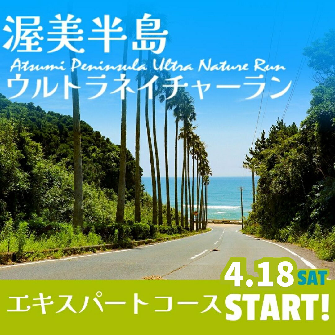 【ふるさと納税】渥美半島 ウルトラネイチャーラン 103km 参加券 マラソン チケット 愛知県　田原市 ［T0485］