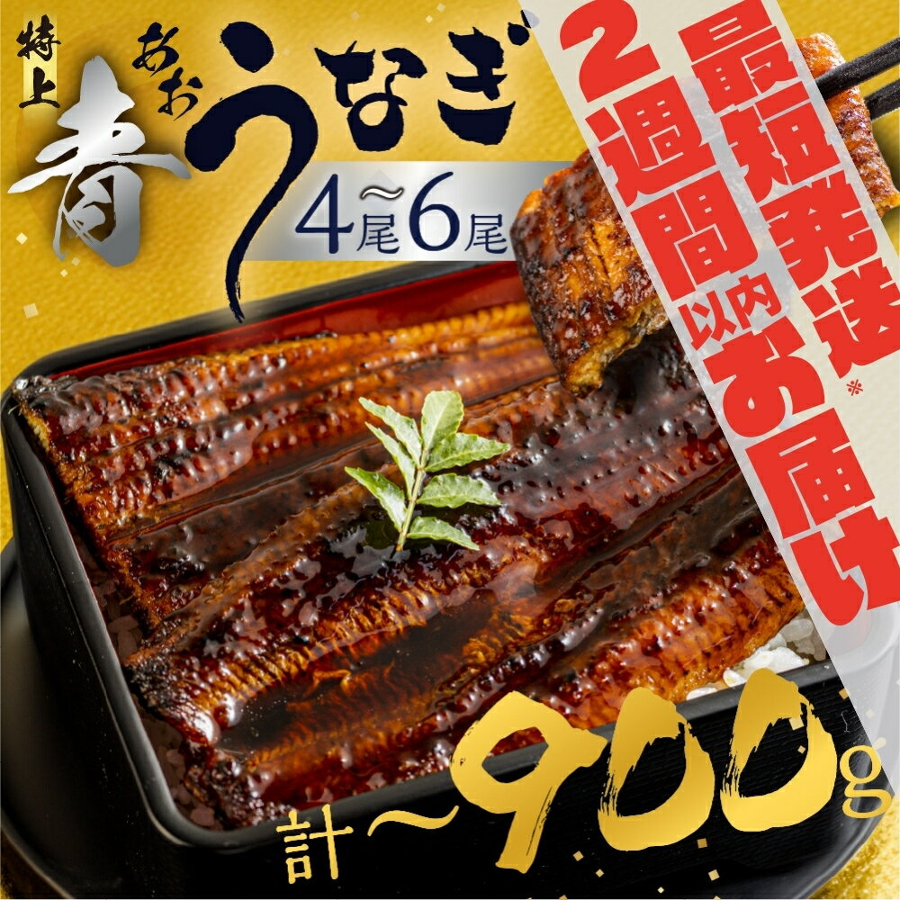 【ふるさと納税】《5月末金額改定》 幻の青うなぎ 蒲焼 父の日 丑の日 2週間以内発送 時期が選べる 4尾 5尾 6尾 600g ~ 900g 厳選 青鰻 鰻 蒲焼き 最高級 長蒲焼 特大サイズ 土用丑の日 先行予約 うなぎ 冷凍 丑の日 惣菜 unagi ランキング 1位 送料無料 20000円 30000円