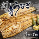 【ふるさと納税】幻の青うなぎ 白焼 選べる尾数 4尾 〜 6尾 タレ付き 山椒付き 厳選 青鰻 ウナギ うなぎ 鰻 白焼き 最高級 ひつまぶし 土用丑の日 ギフ...