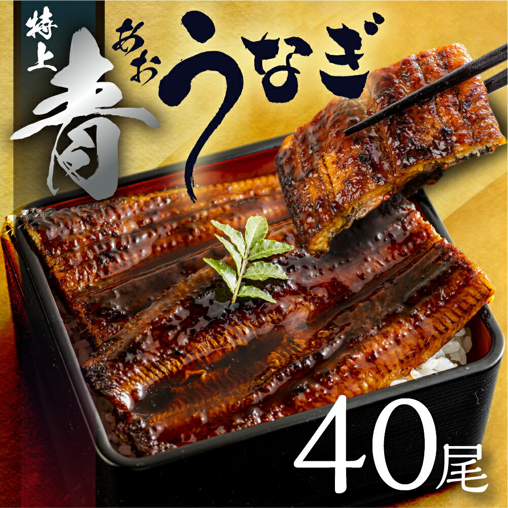 【ふるさと納税】 幻の青うなぎ 訳あり 蒲焼 40尾 6000g タレ付き 山椒付き 厳選 大容量 簡易包装 青鰻 うなぎ ウナギ 鰻 蒲焼き うなぎ 最高級 ...