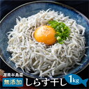 【ふるさと納税】\高評価★5/ 渥美半島 しらす 干し 500g×2袋 計1kg 小分け 【田原市産】便利 シラス おつまみ 酒の肴 ごはんのお供 家飲み おうち時間 しらす丼 におすすめ お取り寄せ お取り寄せグルメ 冷凍 産地直送