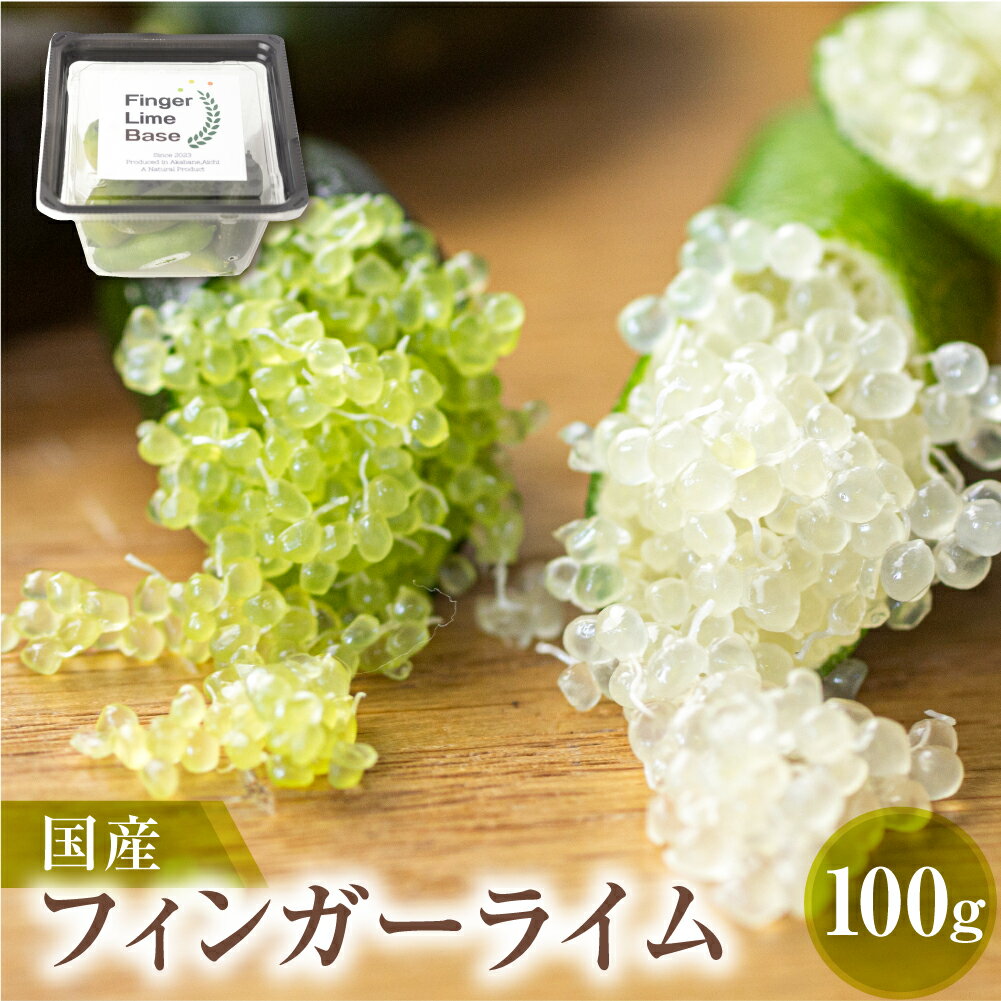 先行予約 フィンガーライムアソート 果実 100g 詰め合せ 品種お任せ フィンガーライム FINGER LIME JAPAN公認 キャビアライム フルーツキャビア 森のキャビア 柑橘 愛知県 田原市 渥美半島 国産 22000円