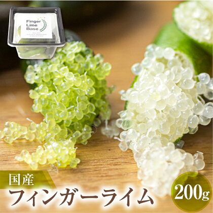 先行予約 フィンガーライムアソート 果実 200g 詰め合せ 品種お任せ フィンガーライム FINGER LIME JAPAN公認 キャビアライム フルーツキャビア 森のキャビア 柑橘 愛知県 田原市 渥美半島 国産 44000円