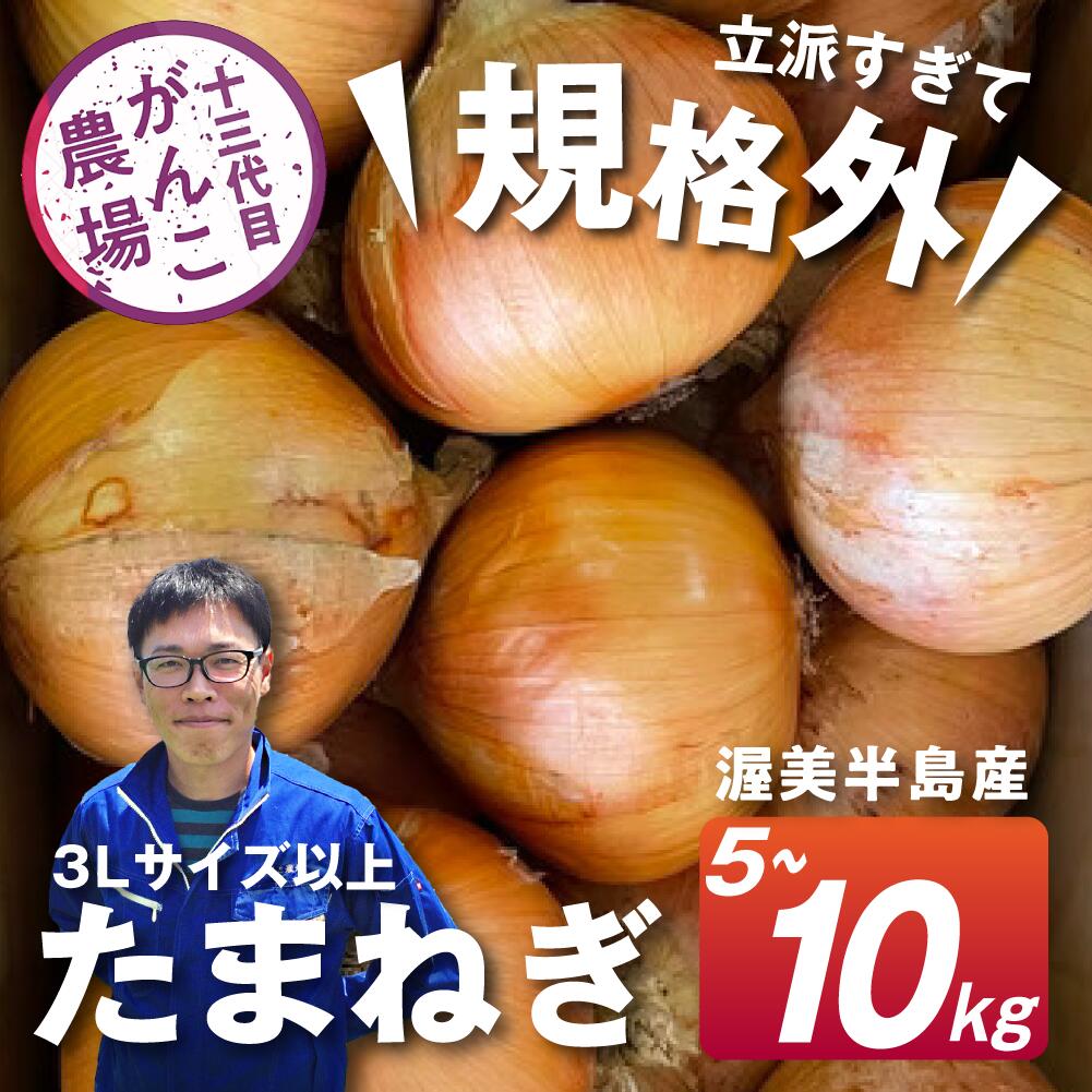 【ふるさと納税】《先行予約》 がんこ玉ねぎ 5kg ~10kg 玉葱 野菜 旬 サイズお任せ 産地直送 田原市 送料無料