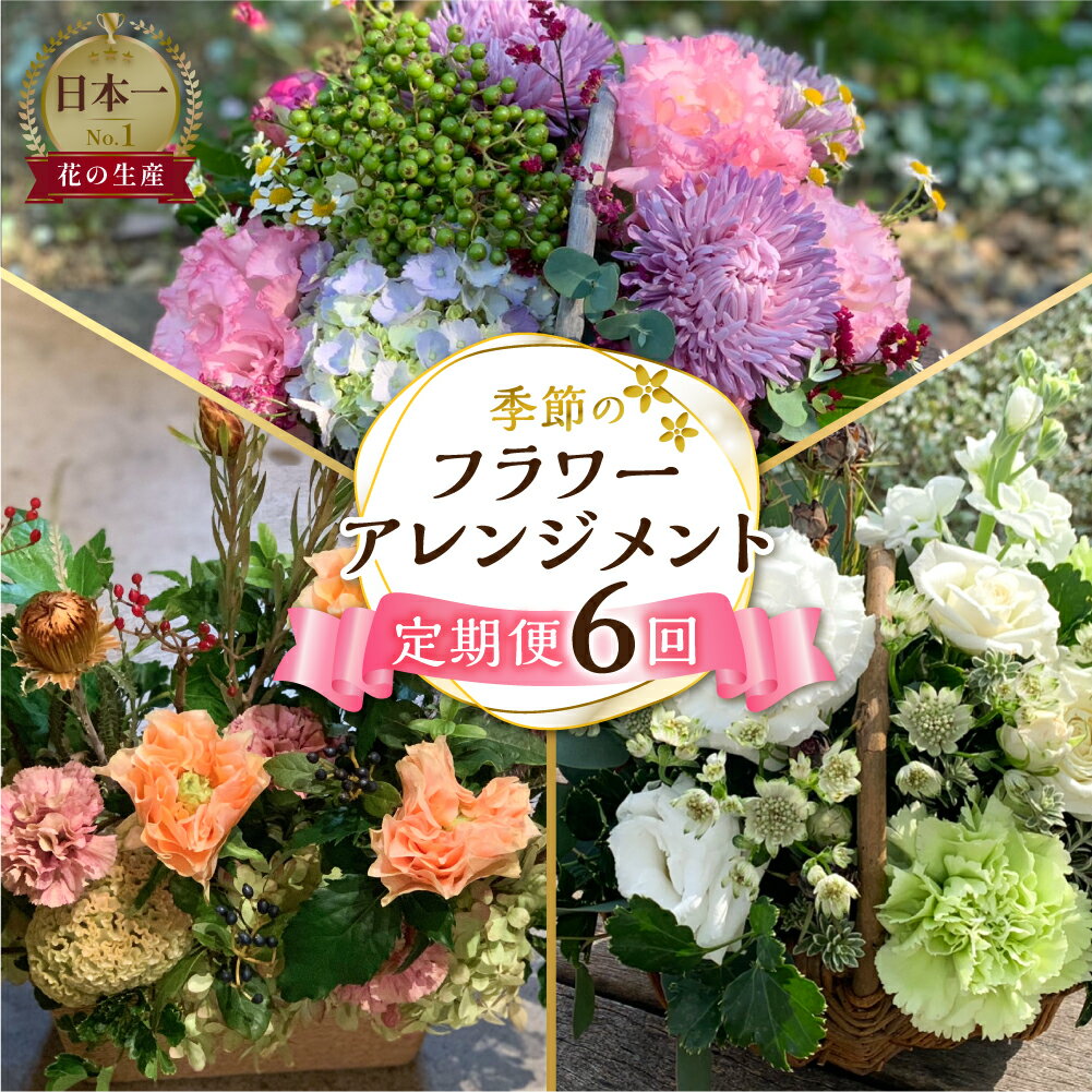 定期便 6回 季節のお花を使った フラワーアレンジメント 花 かご付き 生花 お任せ ギフト プレゼント 飾り 愛知県 田原市 渥美半島 90000円 9万円