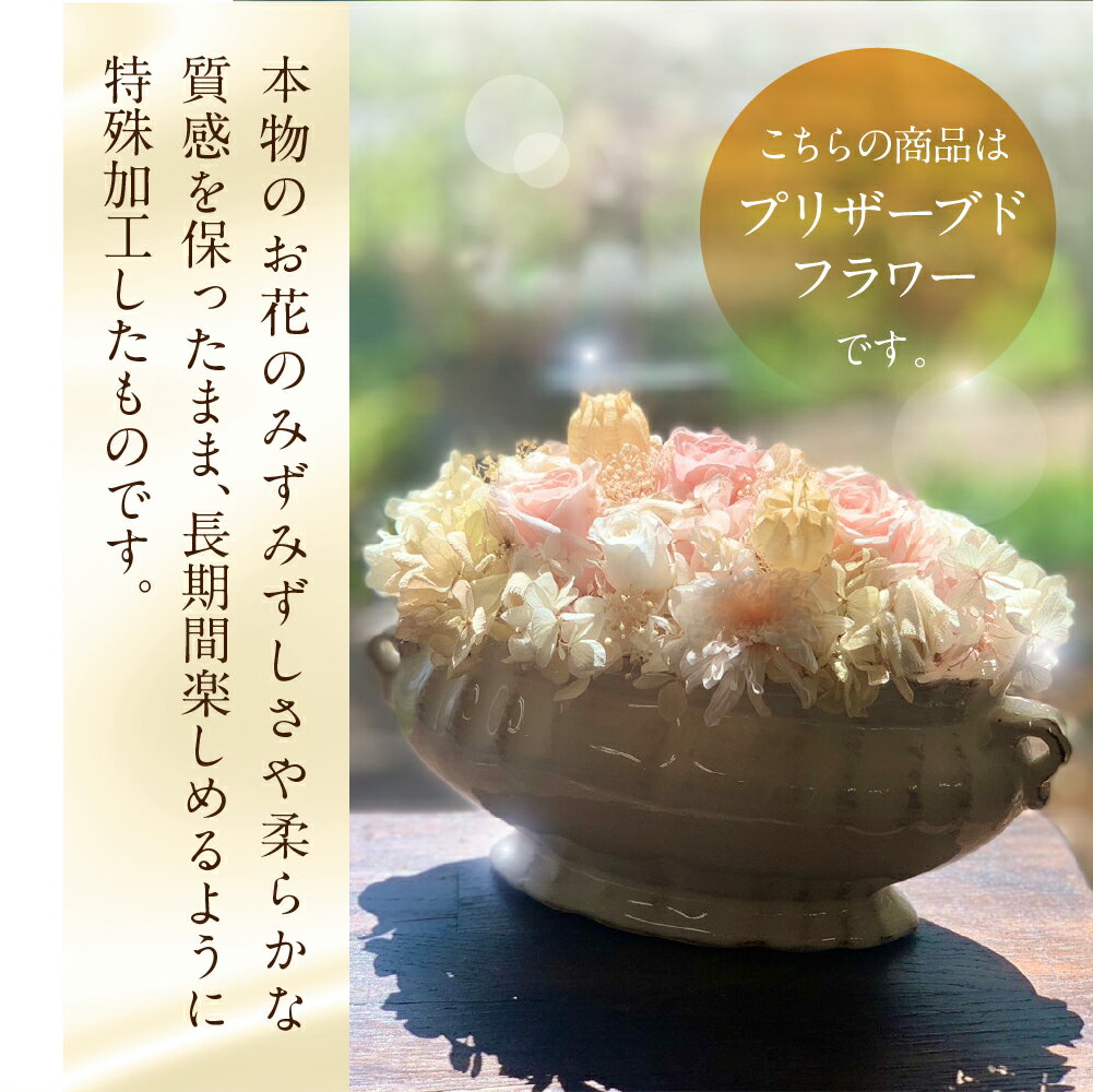 愛知県田原市の画像3