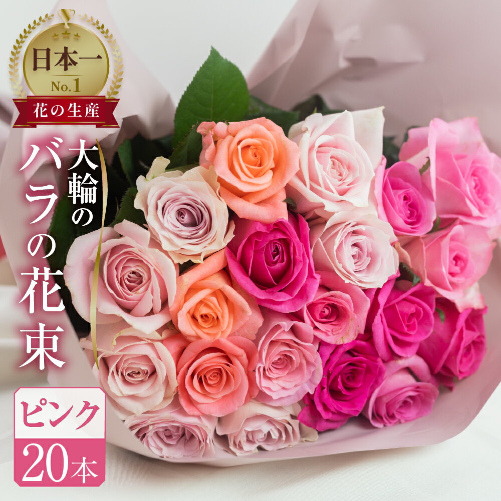 バラ 花束 大輪 ピンク 20本 (40cm) ピンクミックス ブーケ 薔薇 ローズ 生花 日時指定可 母の日 遅れてごめんね 観賞用 プレゼント 花 ギフト 誕生日 植物 フラワー 土壌栽培 産地直送 田原市 人気 切り花 切花 10000円 1万円